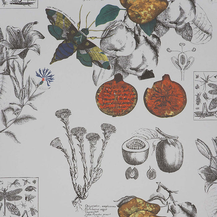 Gaston Y Daniela Linneo Original Wallpaper GDW4848.001.0