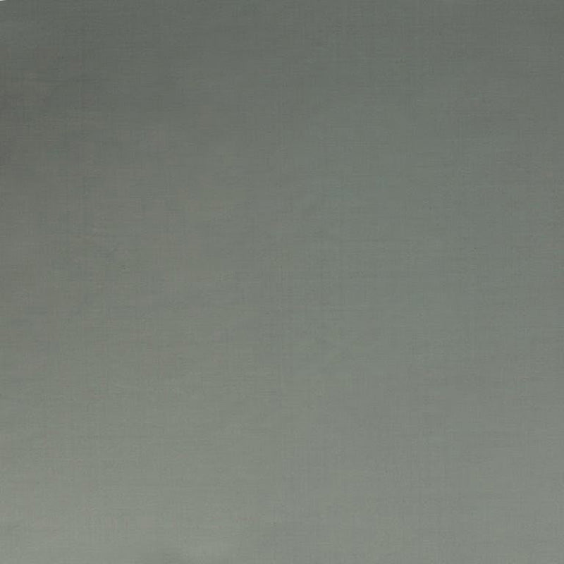 Brunschwig & Fils Jour Argento Fabric JAG-50001.1011.0