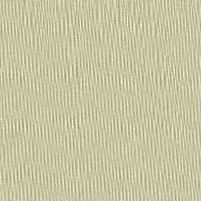 Brunschwig & Fils Jour Pewter Fabric JAG-50001.111.0