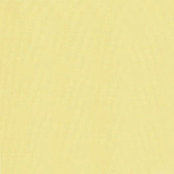 Brunschwig & Fils Jour Straw Fabric JAG-50001.1600.0