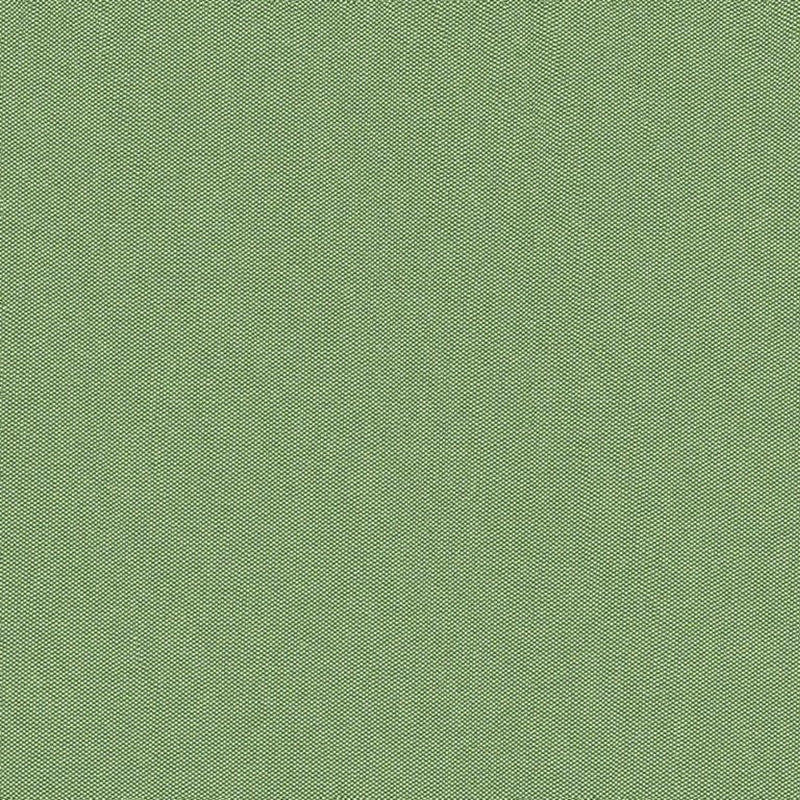 Brunschwig & Fils Jour Sage Fabric JAG-50001.3000.0