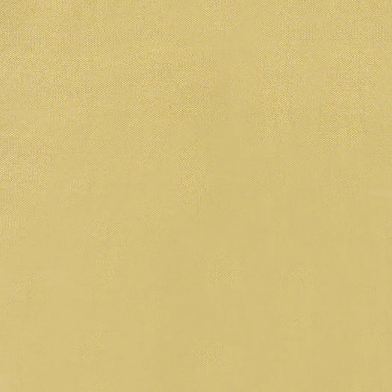 Brunschwig & Fils Jour Palomino Fabric JAG-50001.6611.0