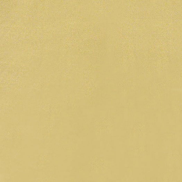 Brunschwig & Fils Jour Palomino Fabric JAG-50001.6611.0