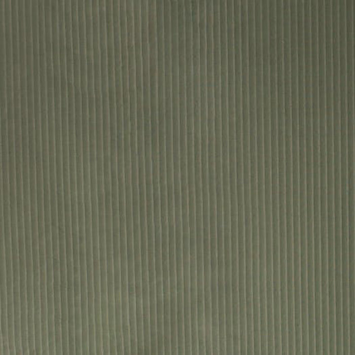 Brunschwig & Fils La Strada Stripe Vert De Gris Fabric JAG-50009.311.0