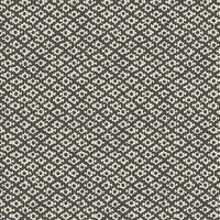 Galbraith & Paul Lattice Black Wallpaper
