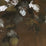 Kravet Design Foglie Di Vite 21593 Wallpaper LZW-30188.21593.0