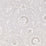 Nina Campbell Baville 6 Wallpaper NCW4351-06