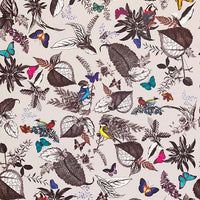 Osborne & Little Bird Song 1 Wallpaper W6596-01