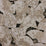 Matthew Williamson Fanfare 5 Wallpaper W7146-05
